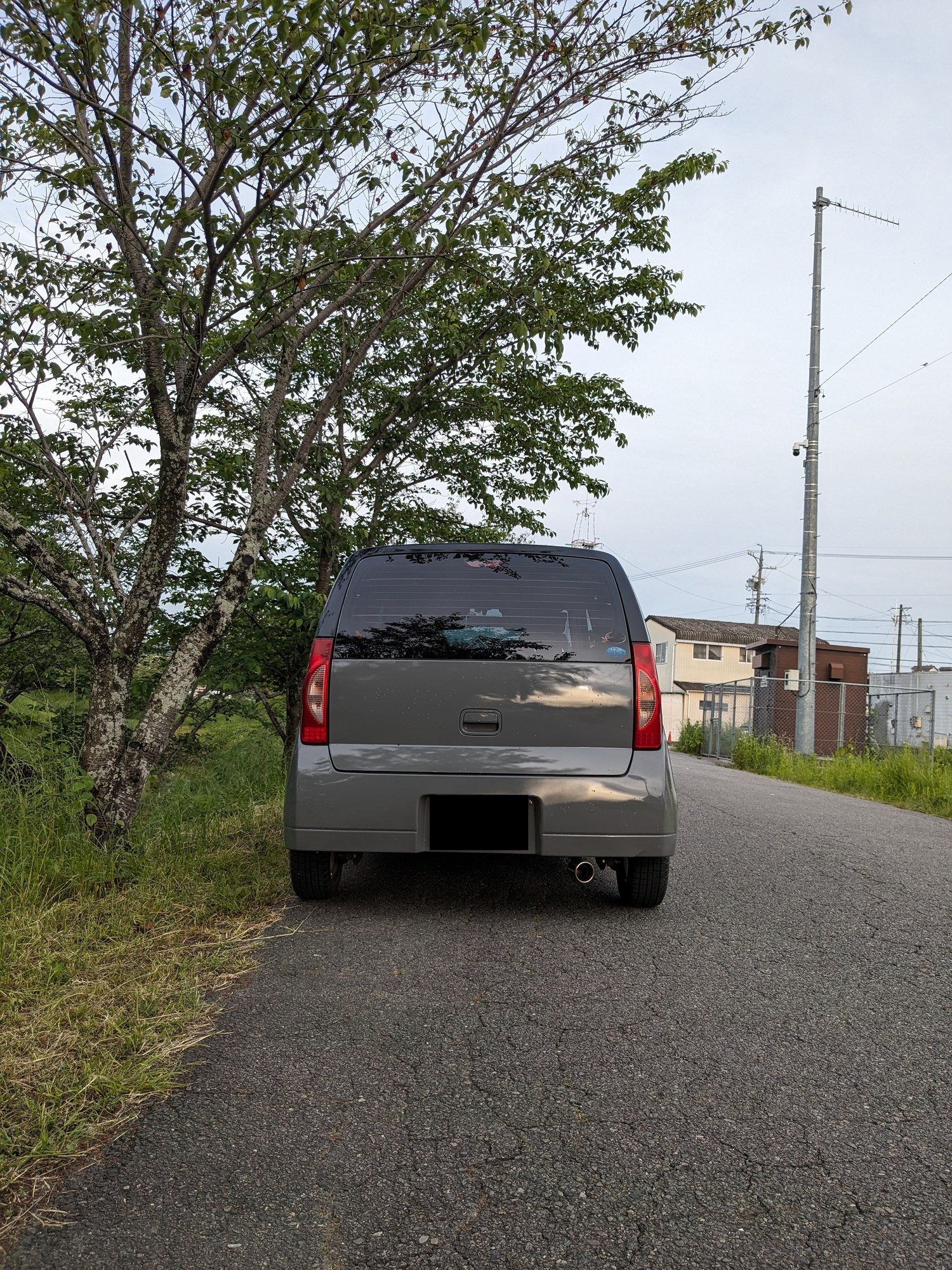 リア正面